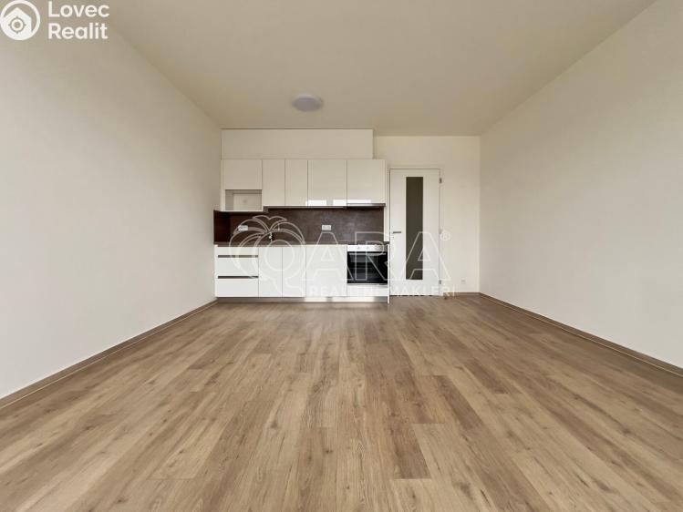 Pronájem bytu 1+KK Brno, Jižní 791/1b č. 7