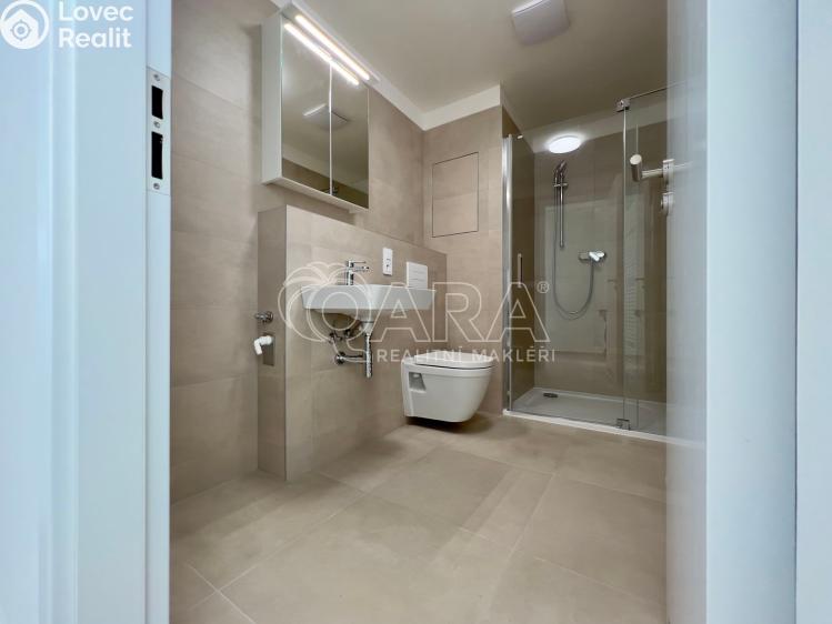 Pronájem bytu 1+KK Brno, Jižní 791/1b č. 13