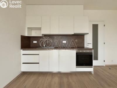 Pronájem bytu 1+KK Brno, Jižní č. 1