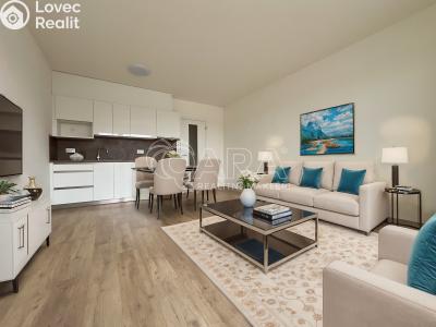 Pronájem bytu 1+KK Brno, Jižní č. 2