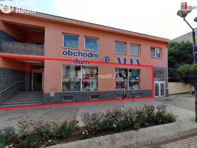 Оренда торгового приміщення Hodonín, Dolní Valy č. 1