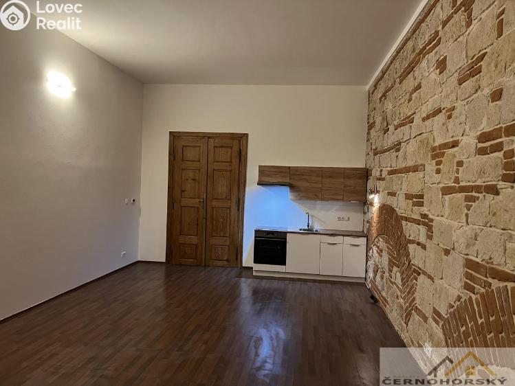 Pronájem bytu 1+KK Rakovník č. 1