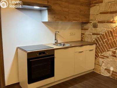 Pronájem bytu 1+KK Rakovník č. 2