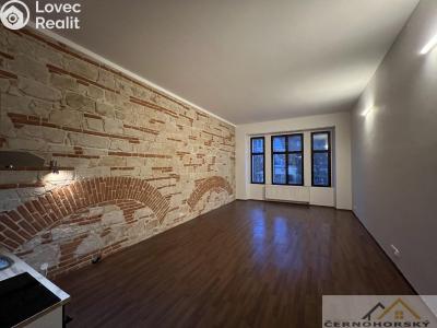 Pronájem bytu 1+KK Rakovník č. 3