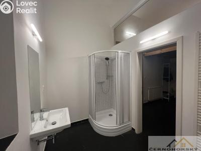 Pronájem bytu 1+KK Rakovník č. 6