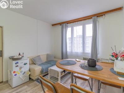 Pronájem bytu 1+1 Sušice, Volšovská 859 č. 5