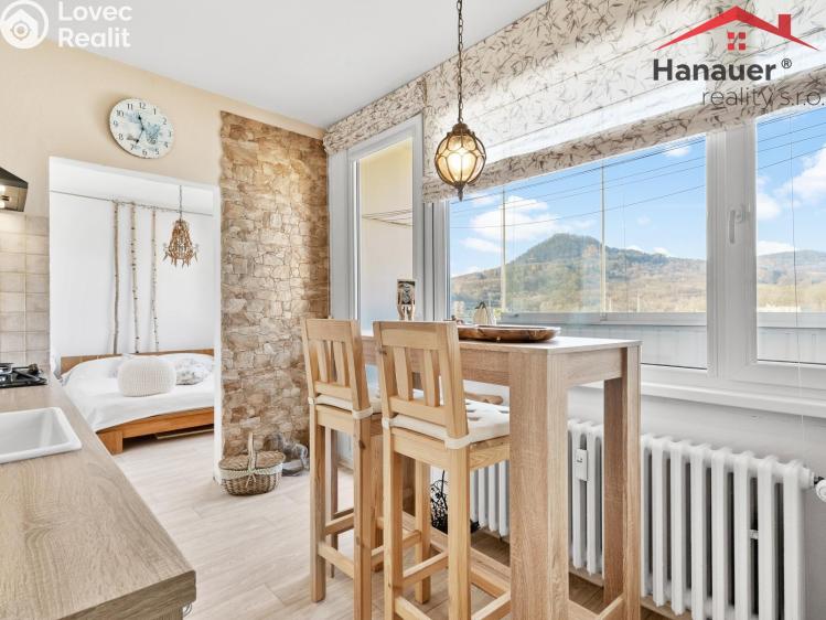 Prodej bytu 2+1 Děčín, Severní č. 4