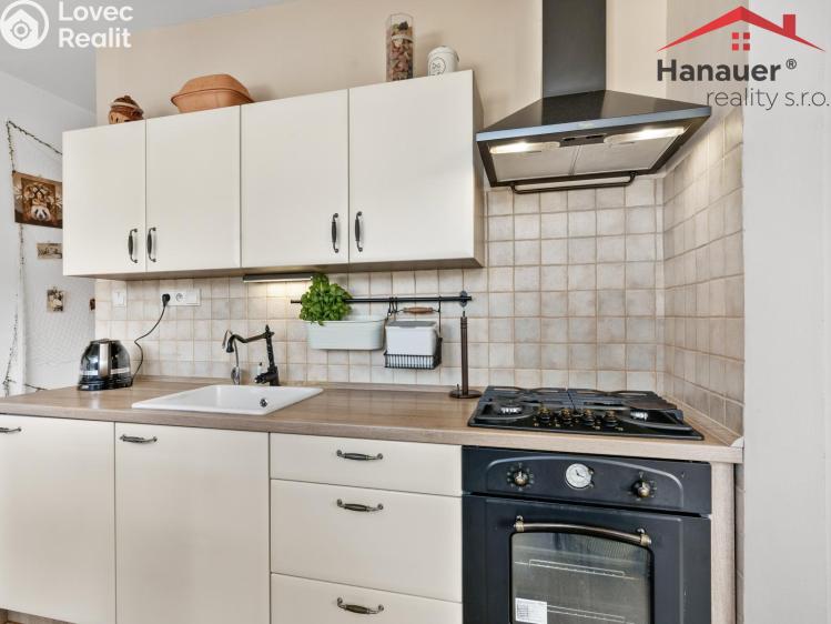 Prodej bytu 2+1 Děčín, Severní č. 12