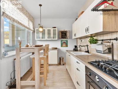 Prodej bytu 2+1 Děčín, Severní č. 2