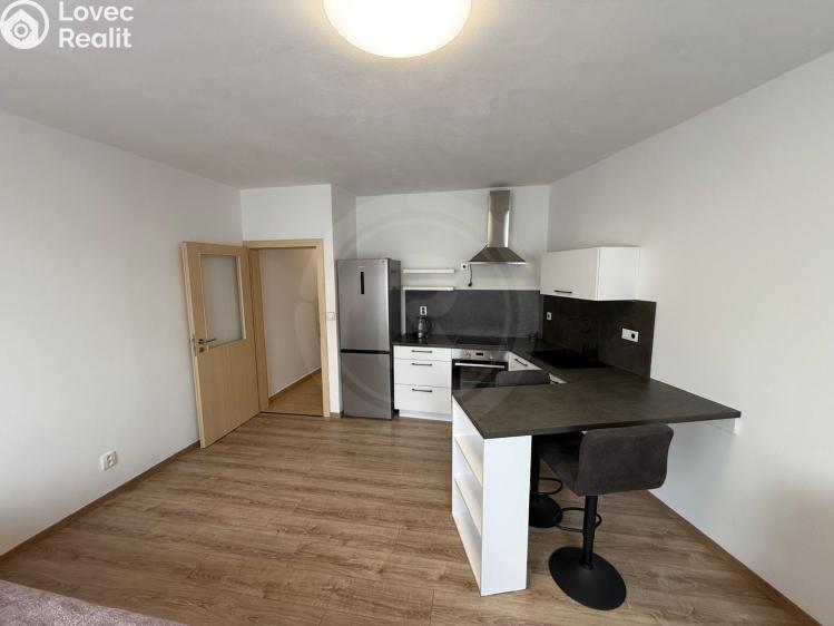 Pronájem bytu 1+KK Ševětín, náměstí Šimona Lomnického 436 č. 2