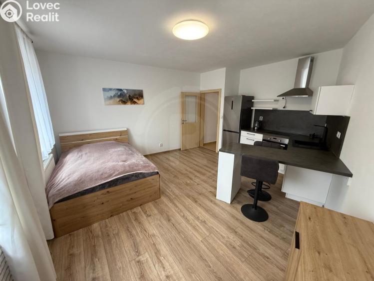 Pronájem bytu 1+KK Ševětín, náměstí Šimona Lomnického 436 č. 8