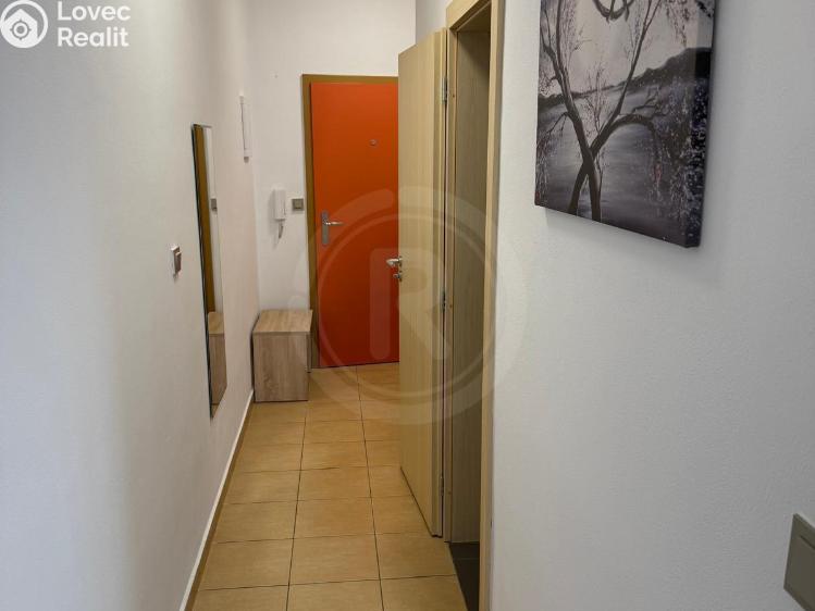 Pronájem bytu 1+KK Ševětín, náměstí Šimona Lomnického 436 č. 12