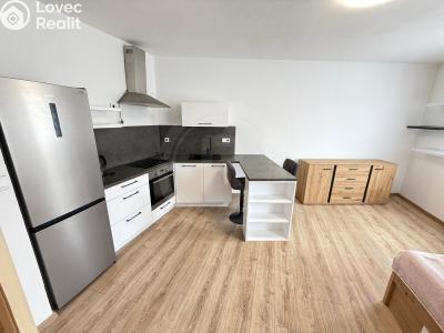 Pronájem bytu 1+KK Ševětín, náměstí Šimona Lomnického 436 č. 1