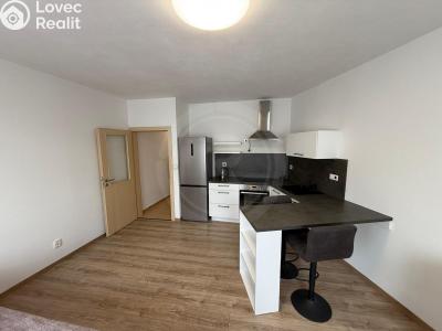 Pronájem bytu 1+KK Ševětín, náměstí Šimona Lomnického 436 č. 2