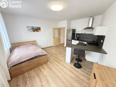 Pronájem bytu 1+KK Ševětín, náměstí Šimona Lomnického 436 č. 3