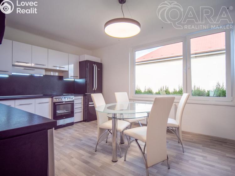 Pronájem rodinného domu Zruč nad Sázavou, Ke Brodu 901 č. 16