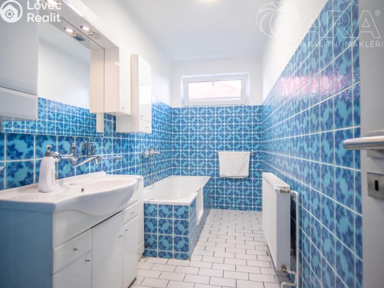 Pronájem rodinného domu Zruč nad Sázavou, Ke Brodu 901 č. 18