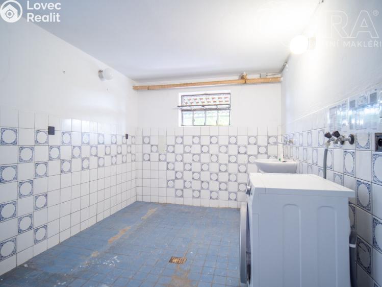 Pronájem rodinného domu Zruč nad Sázavou, Ke Brodu 901 č. 25