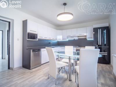 Pronájem rodinného domu Zruč nad Sázavou, Ke Brodu 901 č. 3