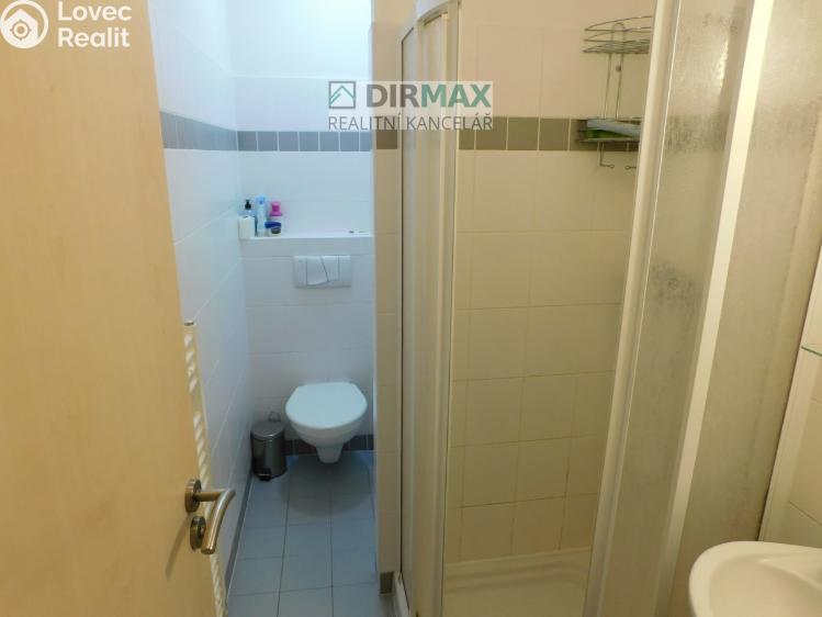 Pronájem bytu 2+KK Plzeň, Malesická 1175/2 č. 6