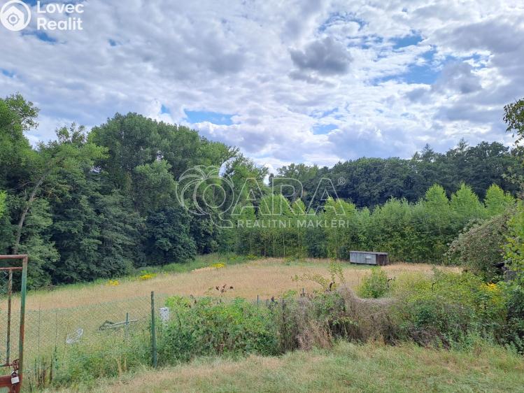 Pronájem chaty Košátky č. 29