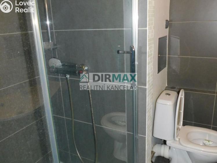 Pronájem bytu 1+KK Plzeň, Hodonínská 1061/61 č. 11