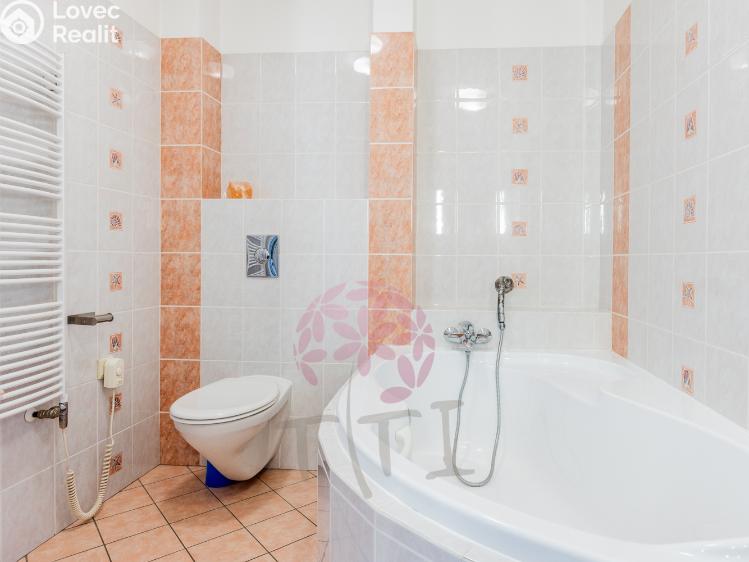 Pronájem bytu 4+KK Praha, Thámova 181/20 č. 12