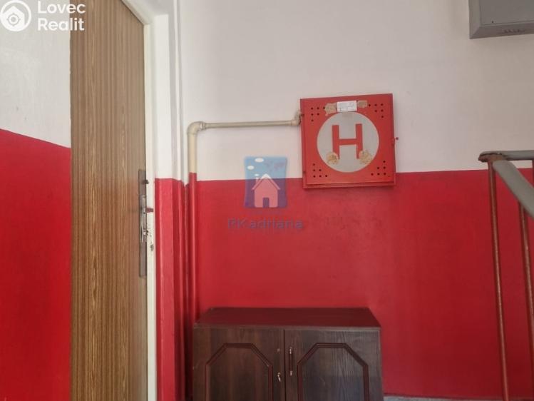 Pronájem bytu 2+1 Chodová Planá, sídliště Lučina č. 11