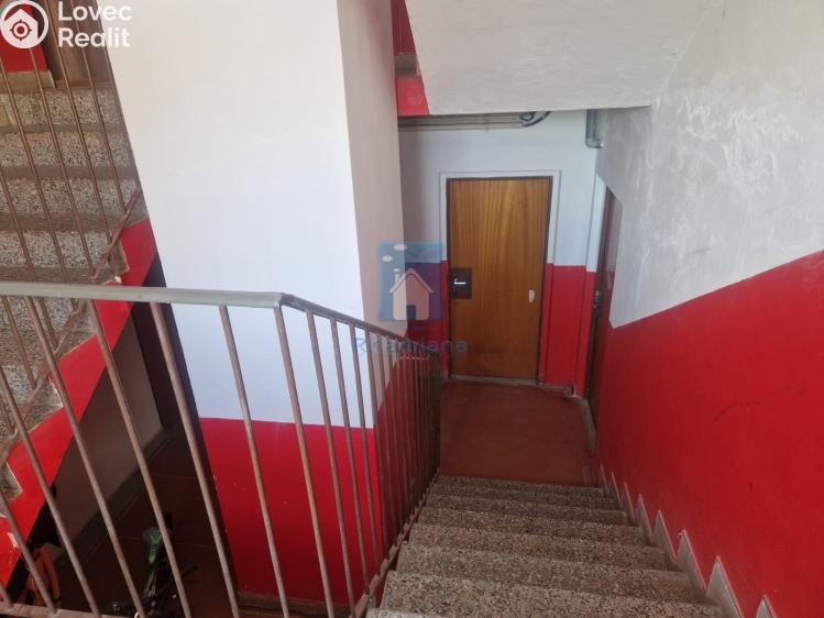 Pronájem bytu 2+1 Chodová Planá, sídliště Lučina č. 12