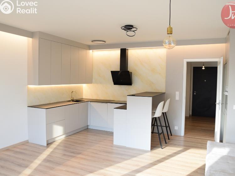 Pronájem bytu 1+KK Ostrava, F. X. Riepla č. 1