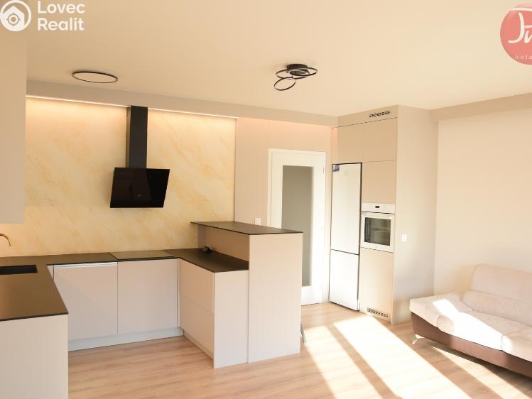 Pronájem bytu 1+KK Ostrava, F. X. Riepla č. 5