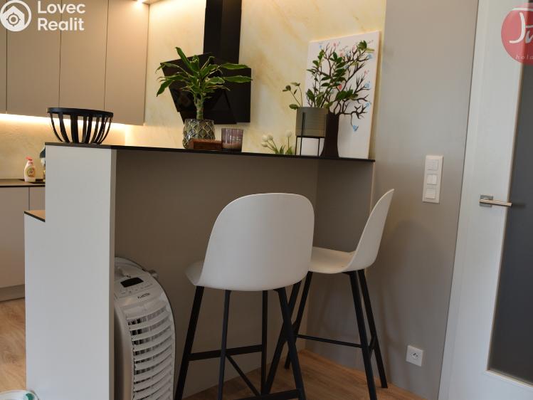 Pronájem bytu 1+KK Ostrava, F. X. Riepla č. 6