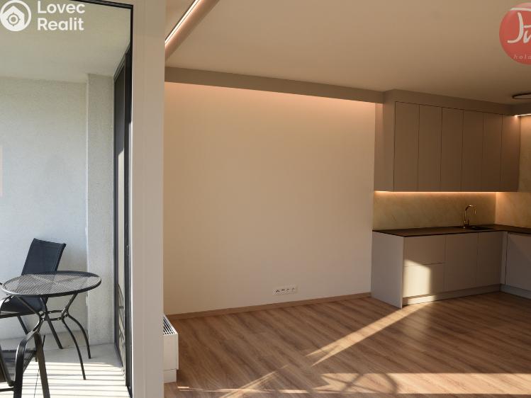 Pronájem bytu 1+KK Ostrava, F. X. Riepla č. 12