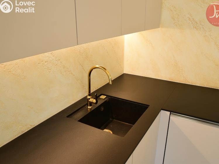 Pronájem bytu 1+KK Ostrava, F. X. Riepla č. 4