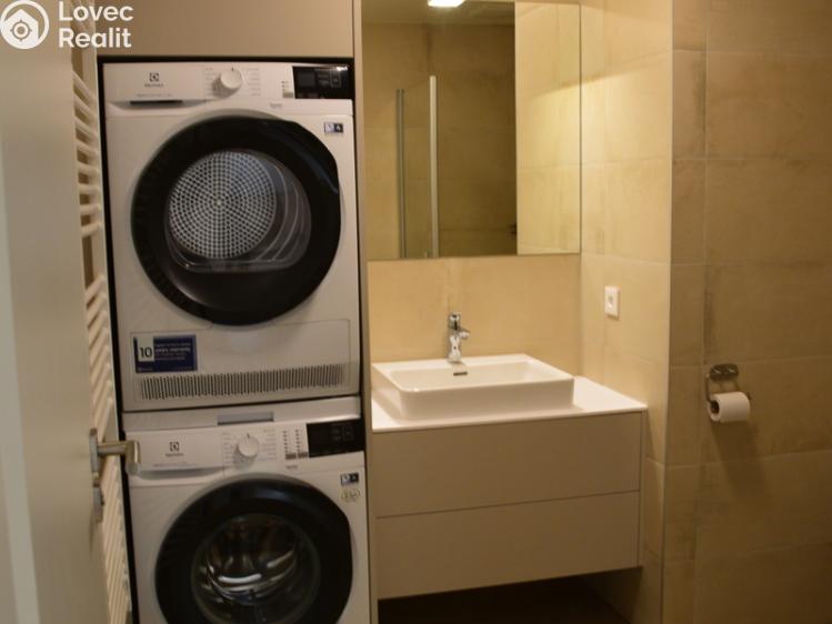 Pronájem bytu 1+KK Ostrava, F. X. Riepla č. 19