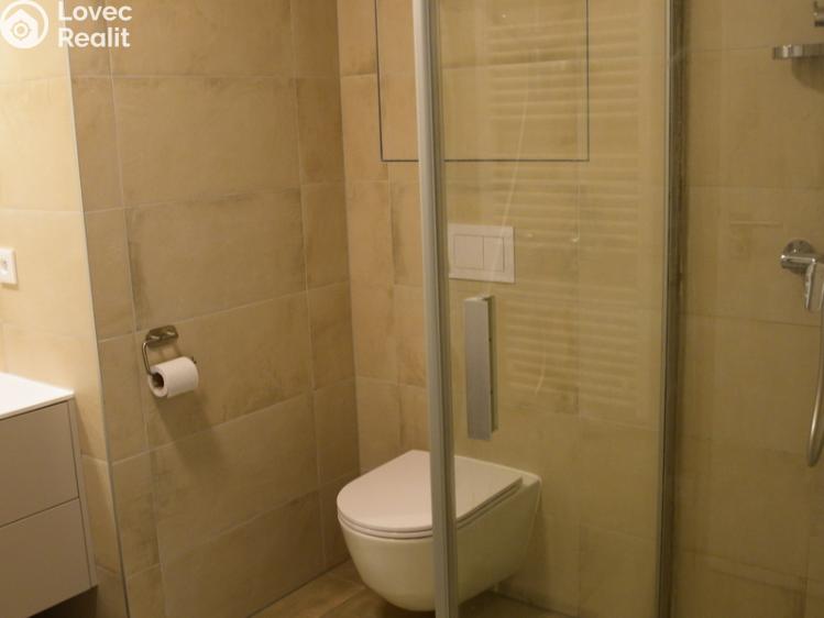 Pronájem bytu 1+KK Ostrava, F. X. Riepla č. 20