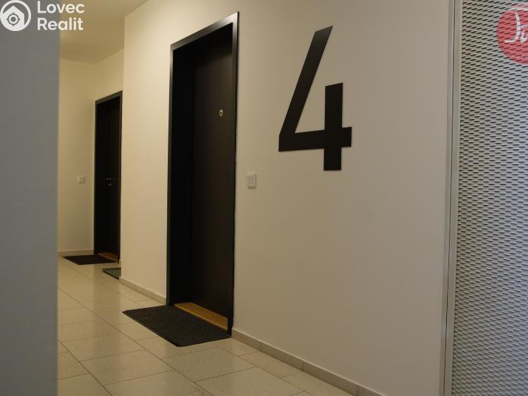 Pronájem bytu 1+KK Ostrava, F. X. Riepla č. 21