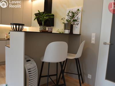 Оренда квартири 1+KK Ostrava, F. X. Riepla č. 6