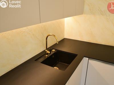 Pronájem bytu 1+KK Ostrava, F. X. Riepla č. 4