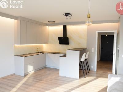 Pronájem bytu 1+KK Ostrava, F. X. Riepla č. 1