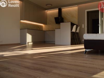 Pronájem bytu 1+KK Ostrava, F. X. Riepla č. 2