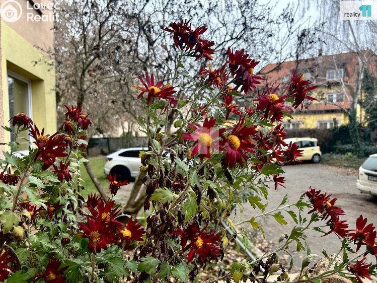 Pronájem bytu 2+KK Praha 12, K Vystrkovu č. 41