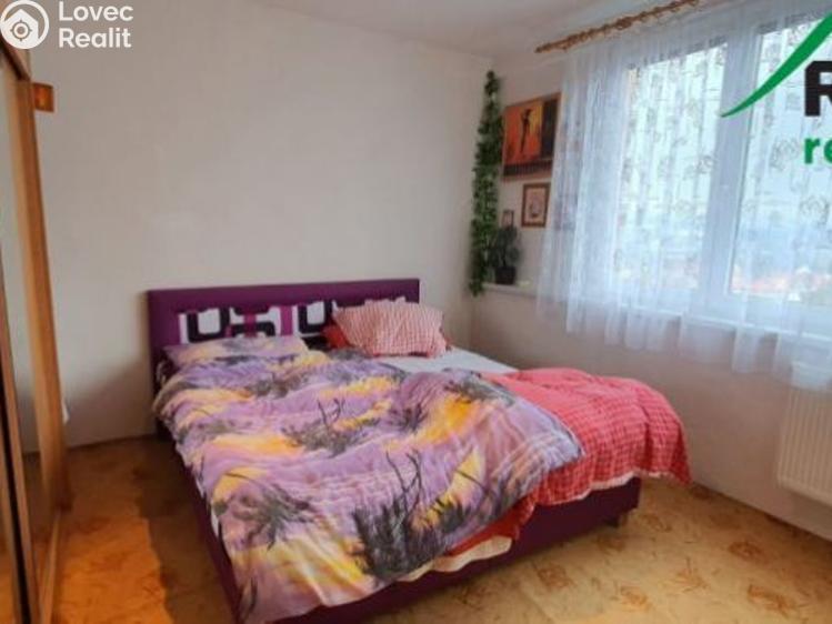 Pronájem bytu 2+1 Tachov, Zárečná č. 3