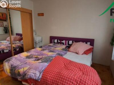 Pronájem bytu 2+1 Tachov, Zárečná č. 4