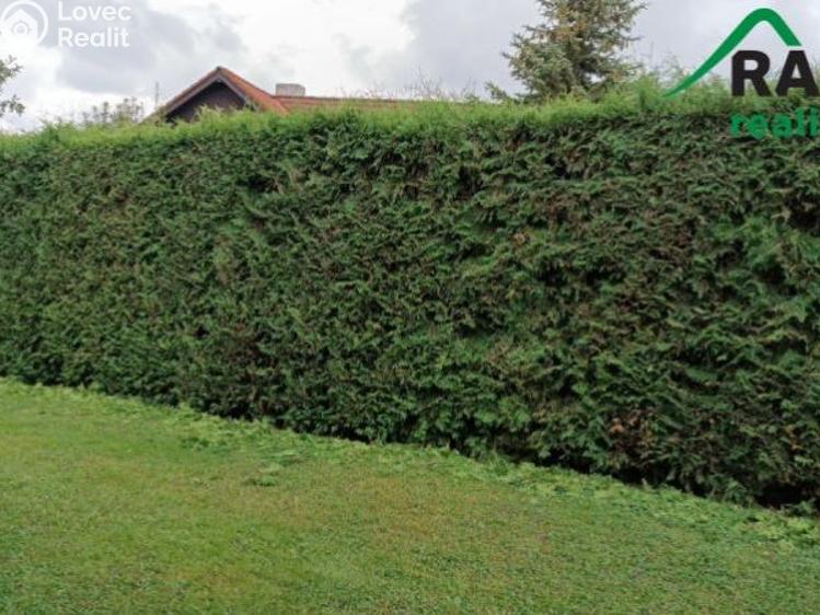 Prodej chalupy Javorník č. 13