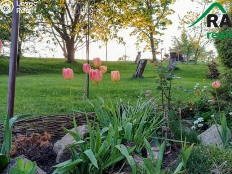 Prodej chalupy Javorník č. 17