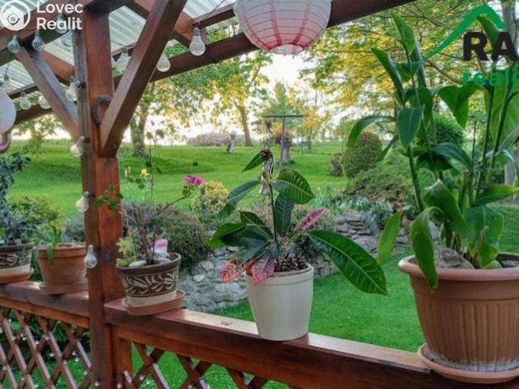 Prodej chalupy Javorník č. 18