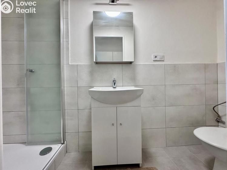 Pronájem bytu 1+1 Praha, Jandova 10/3 č. 8