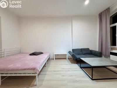 Pronájem bytu 1+1 Praha, Jandova č. 3