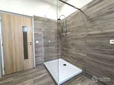 Pronájem bytu 3+1 Sokolov, Nádražní č. 2